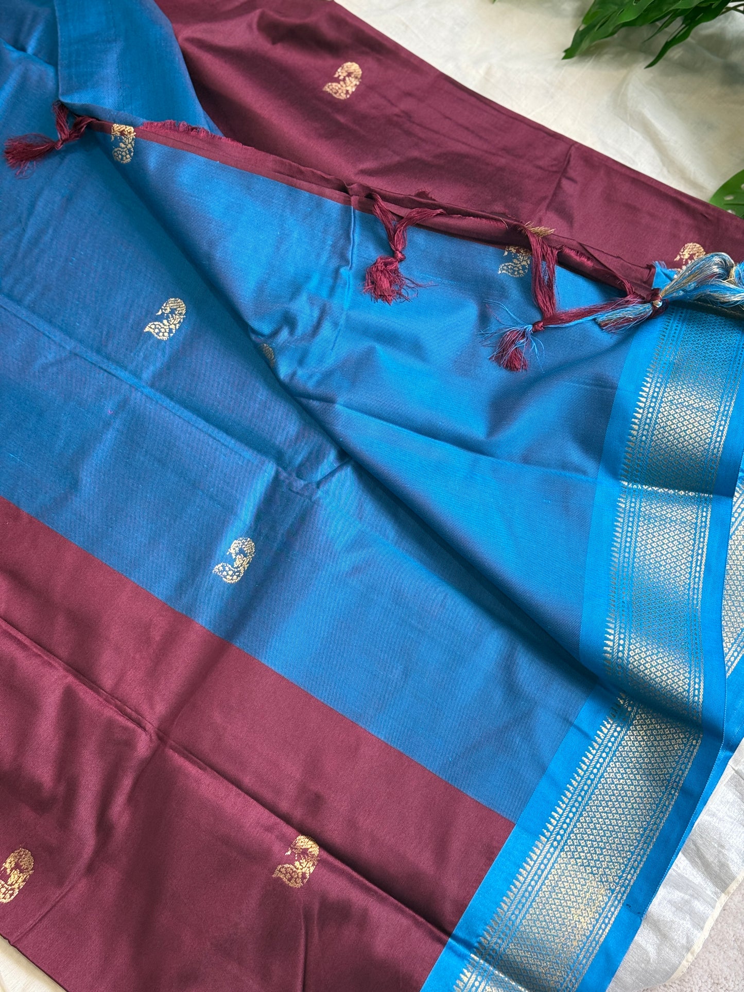 Brown & Blue