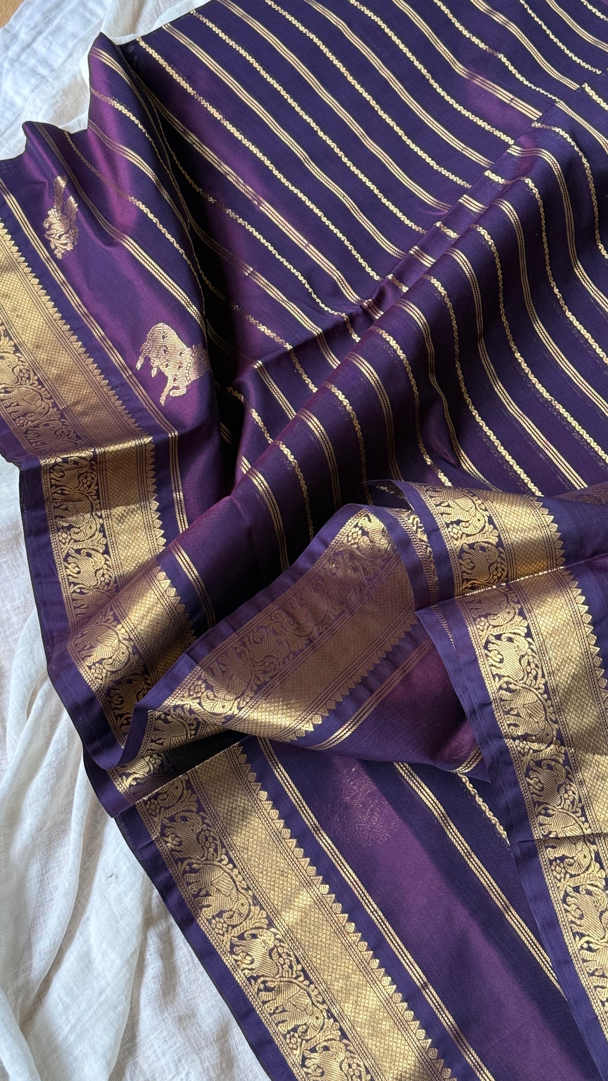 Kanchi Silkcotton 05