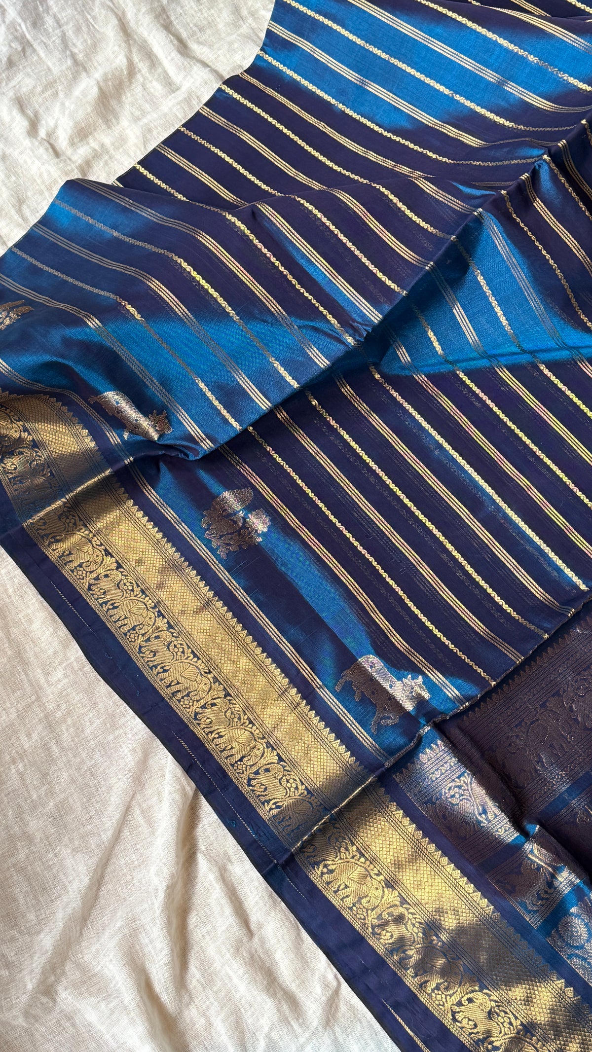 Kanchi Silkcotton 06