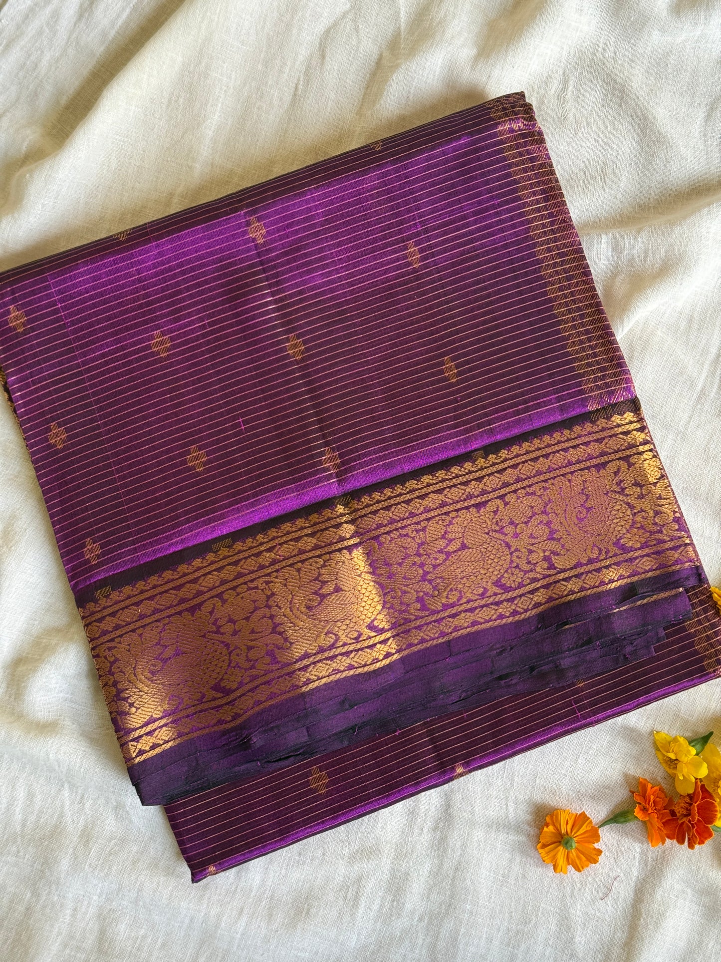 Purple Muthlines