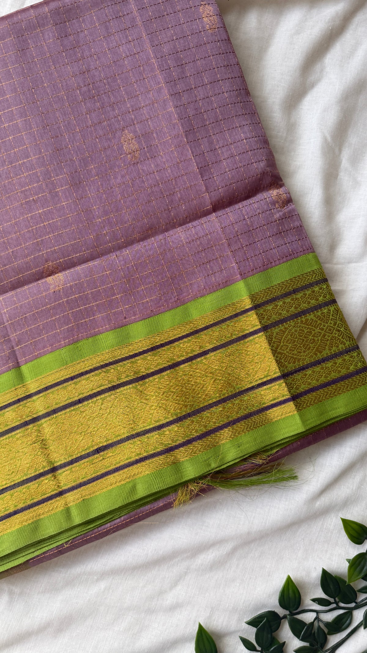 Kanchi Silkcotton 1
