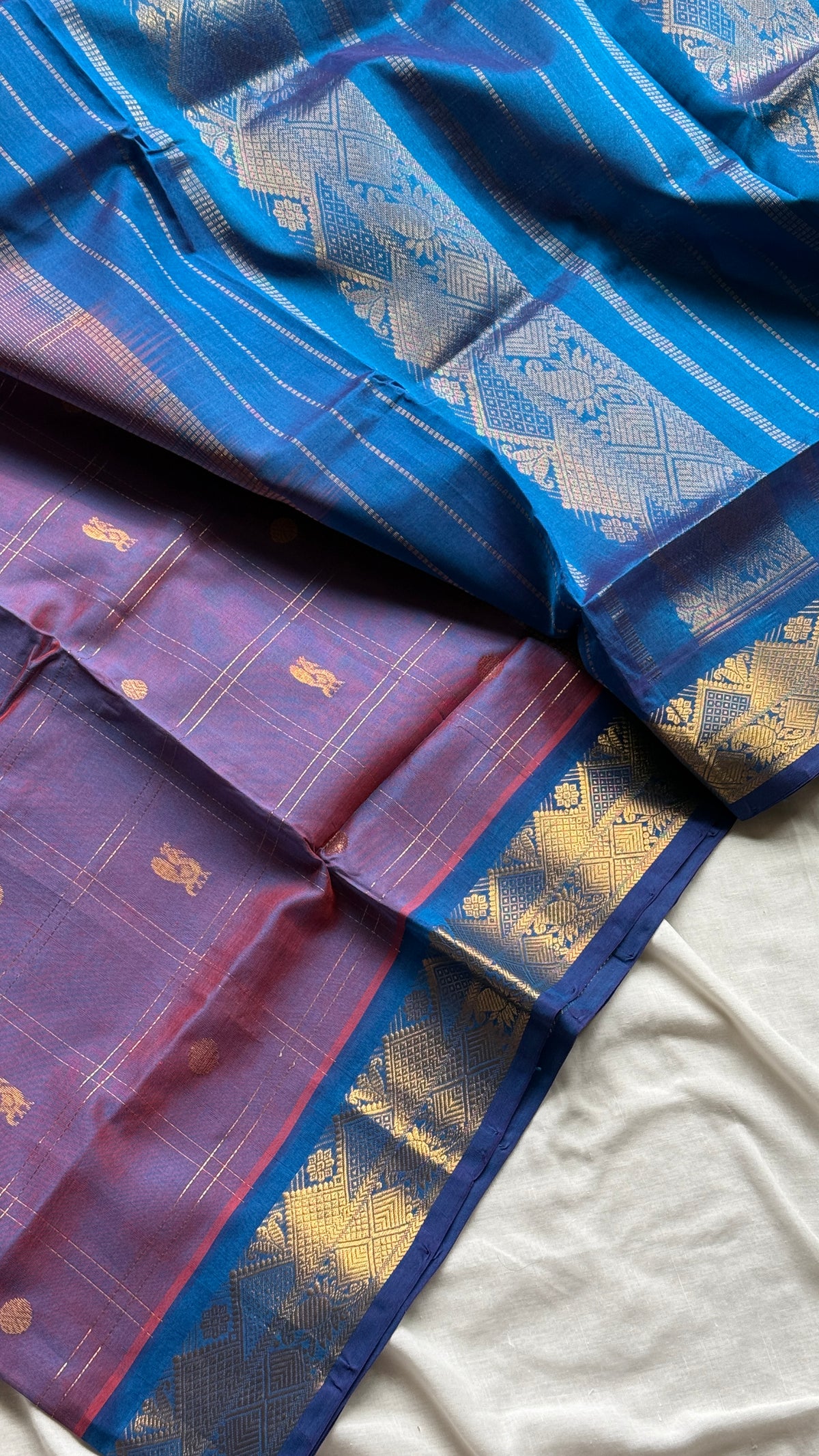 Kanchi Silkcotton 10