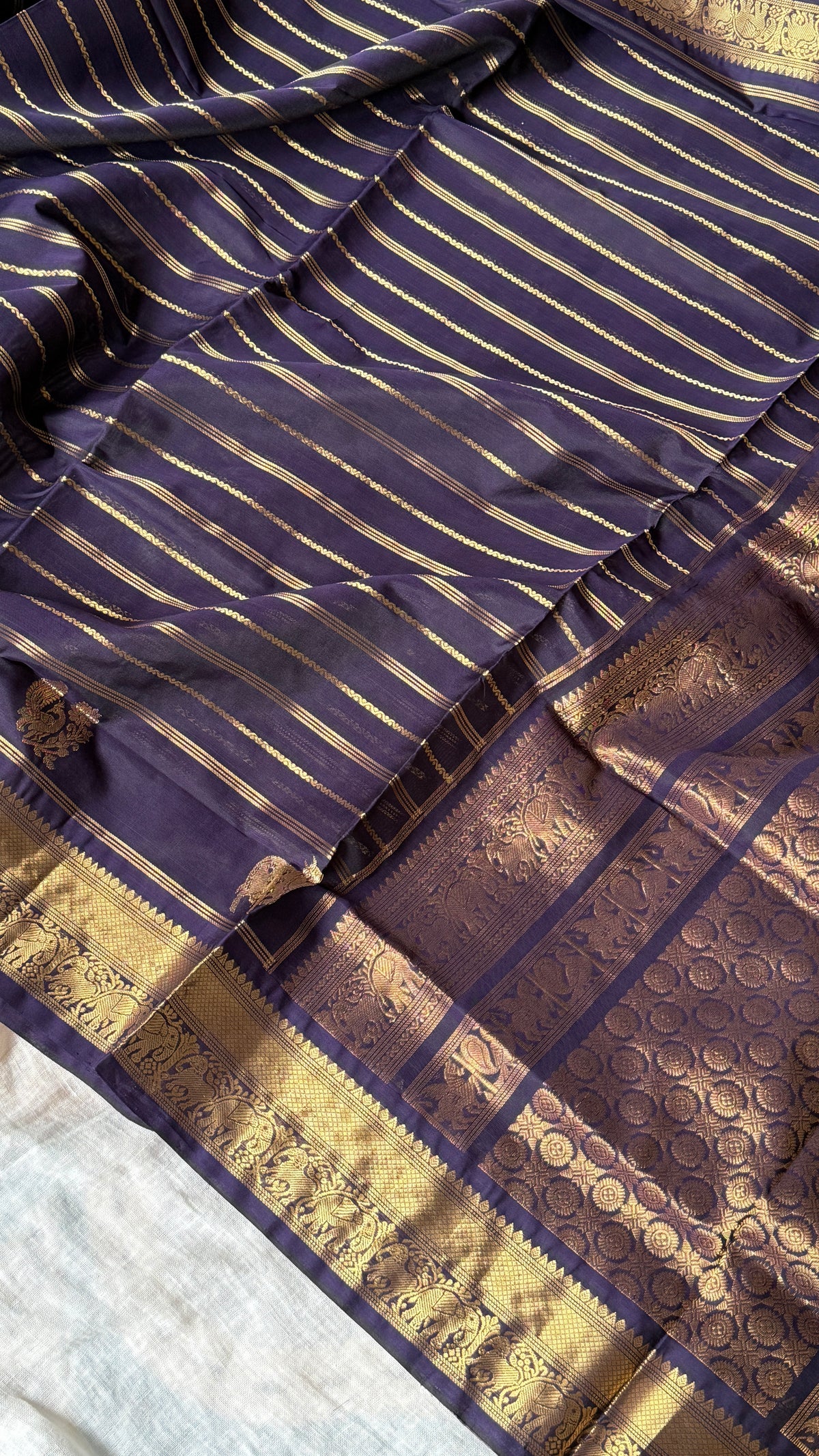 Kanchi Silkcotton 05