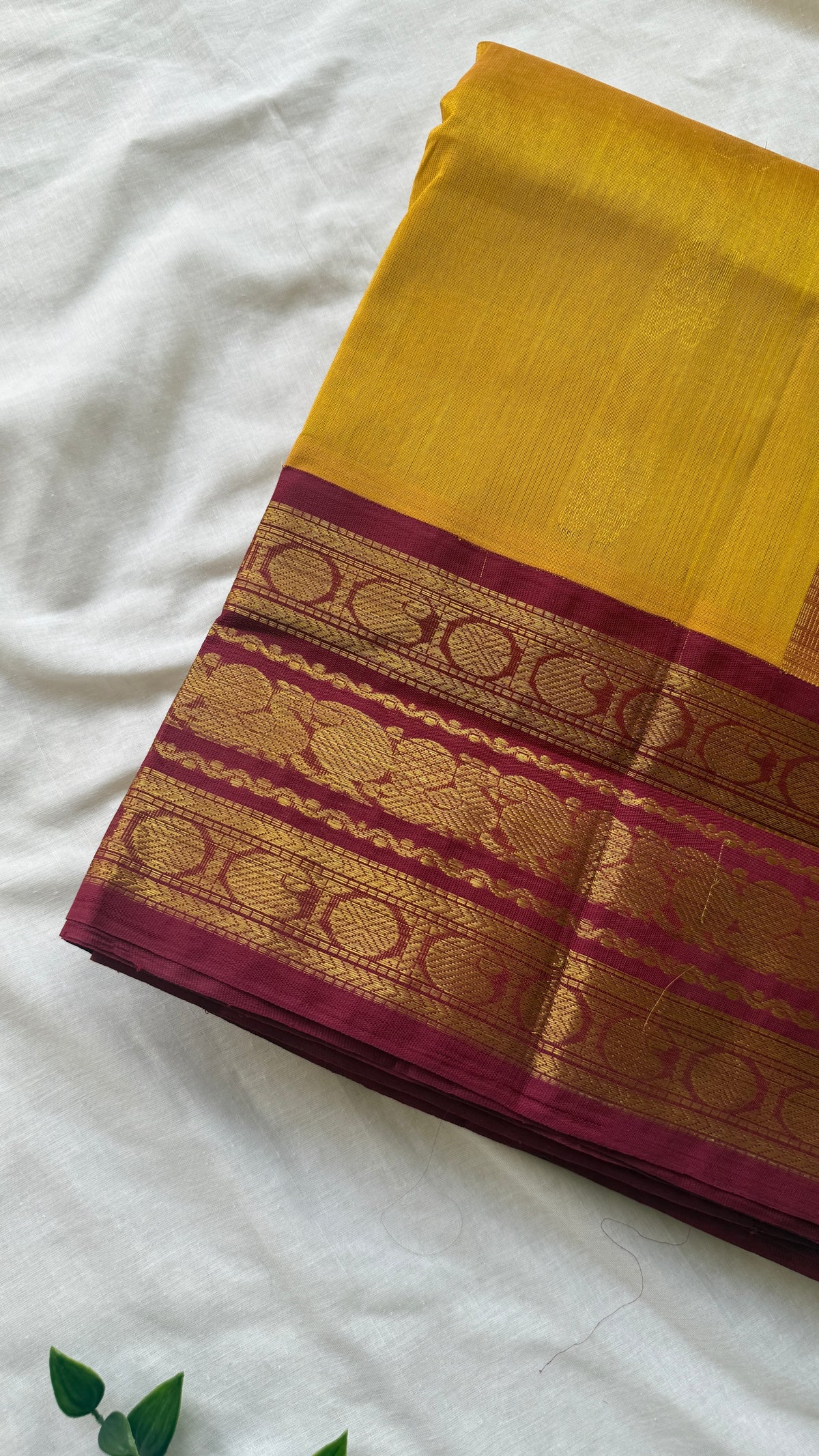 Kanchi Silkcotton 2