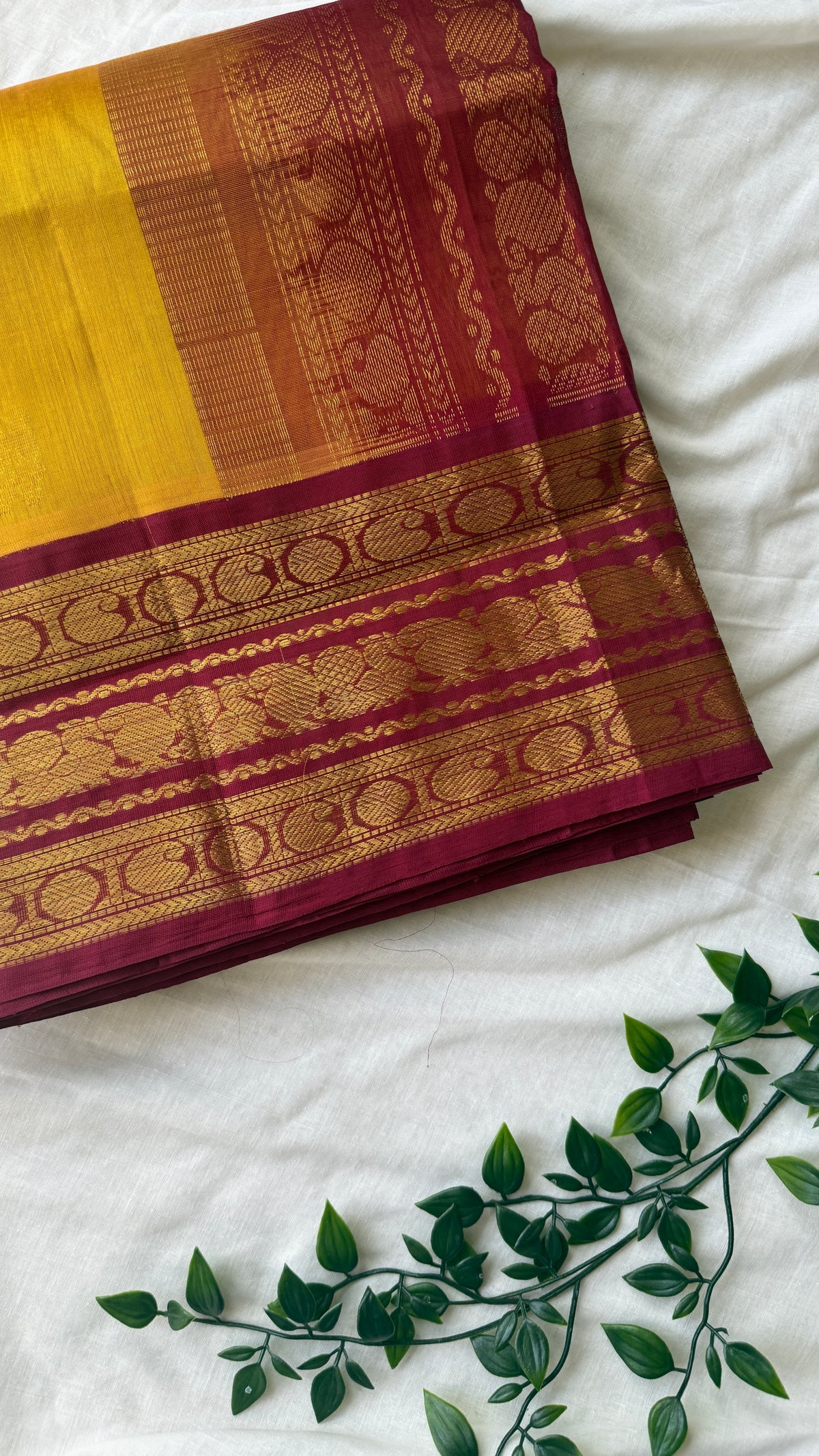 Kanchi Silkcotton 2