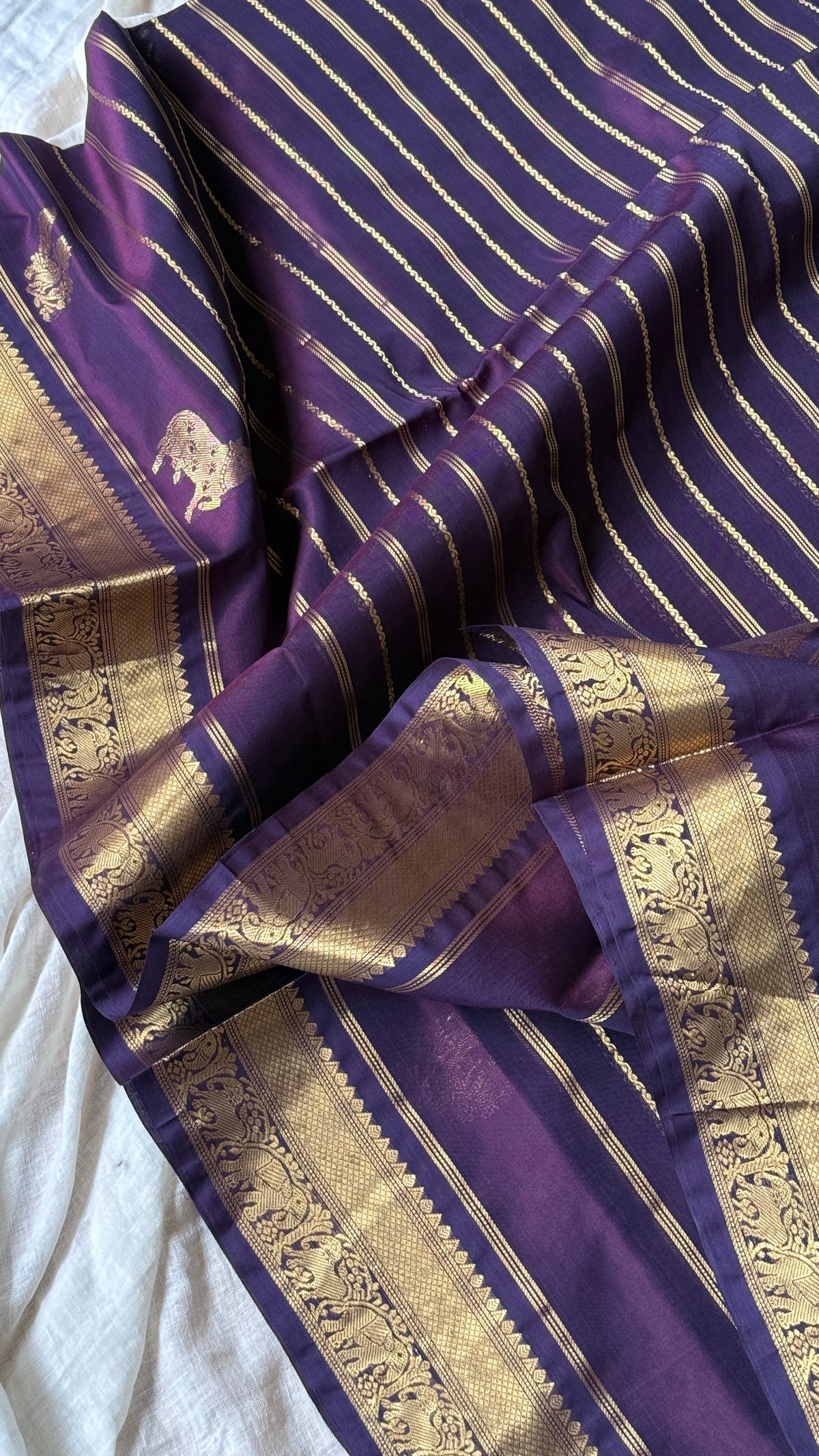 Kanchi Silkcotton 05