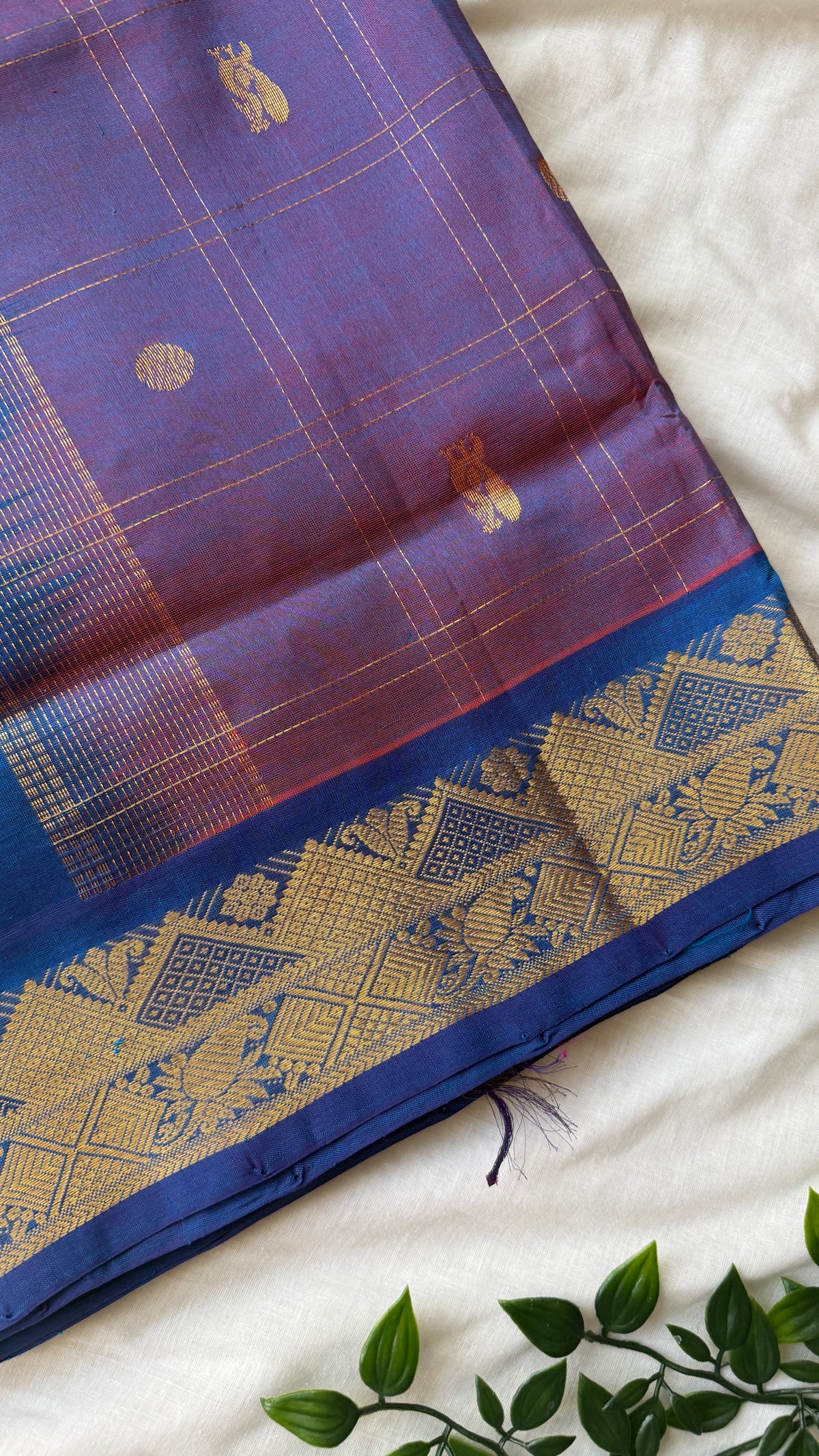 Kanchi Silkcotton 10