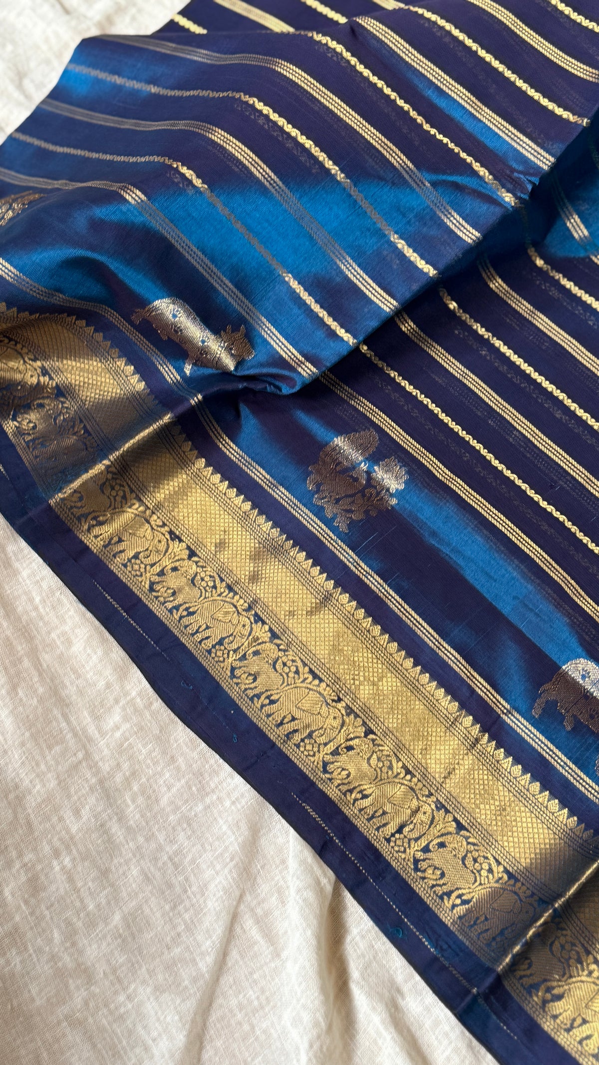 Kanchi Silkcotton 06