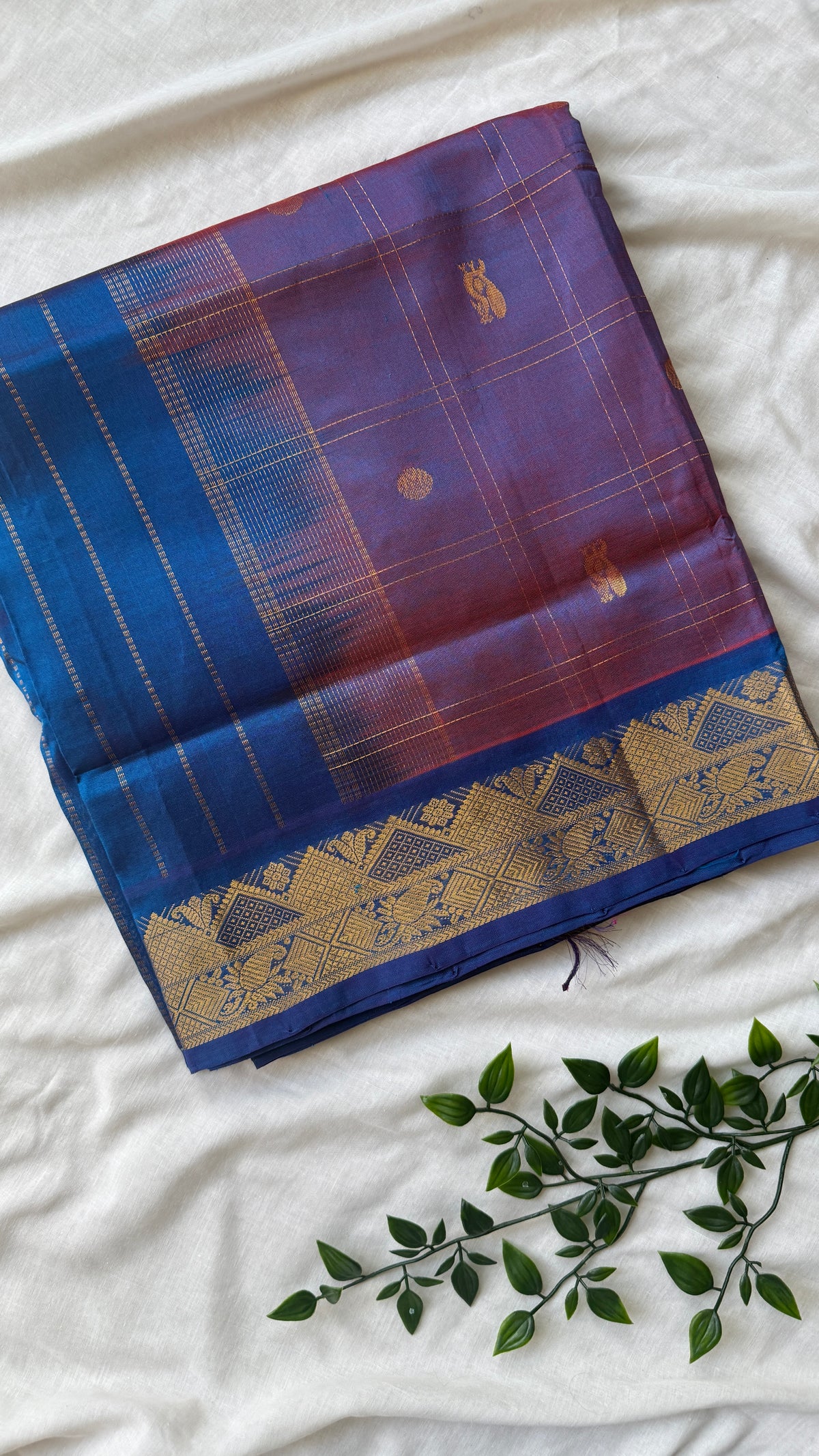 Kanchi Silkcotton 10